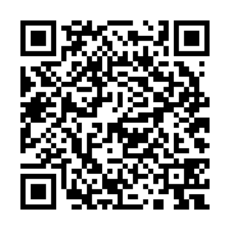 QR code for 13DB383