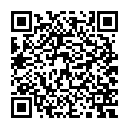 QR code for 13DF668