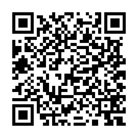 QR code for 13DM597