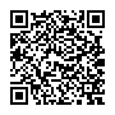QR code for 13DP530