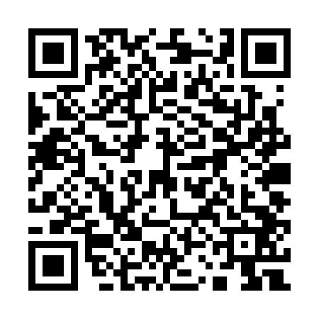 QR code for 13DS425