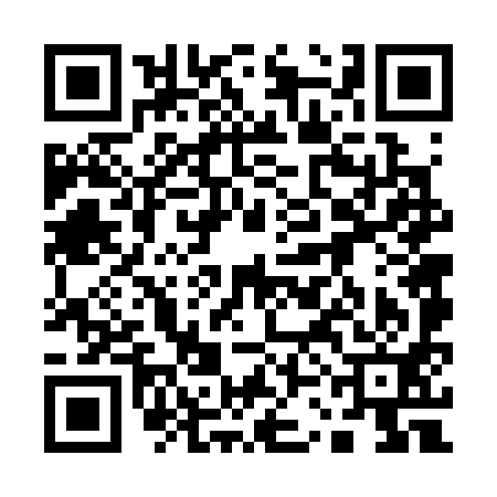 QR code for 13F391M