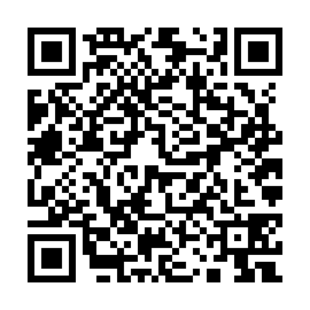 QR code for 13FK382