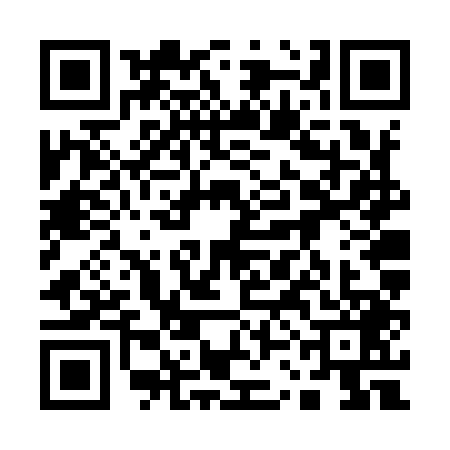 QR code for 13FY493