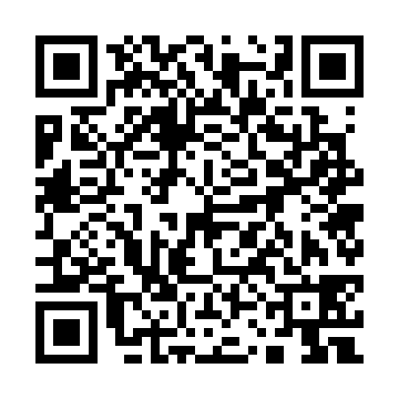 QR code for 13G338M
