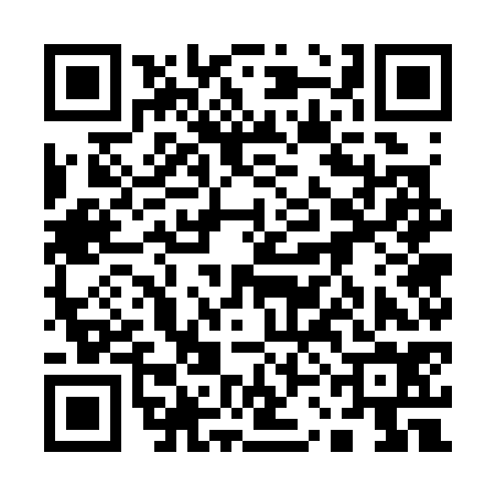 QR code for 13G374L