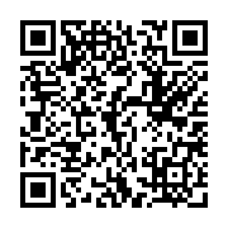 QR code for 13G3883