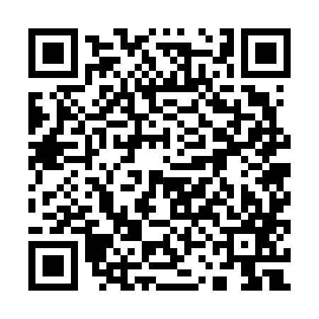 QR code for 13G687C