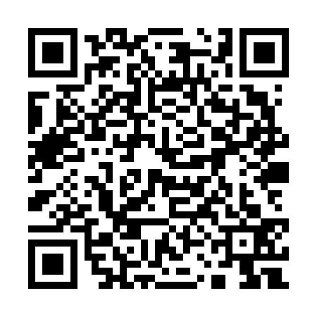 QR code for 13HV333