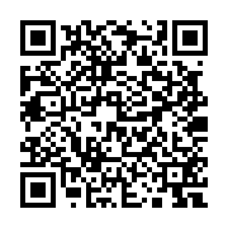 QR code for 13JP529