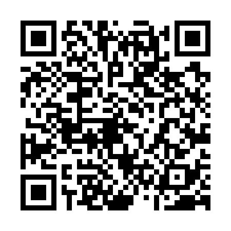 QR code for 13L7383