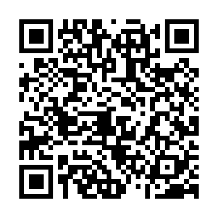 QR code for 13LP295