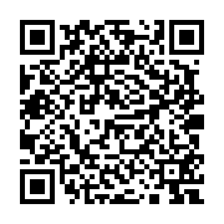 QR code for 13LT514
