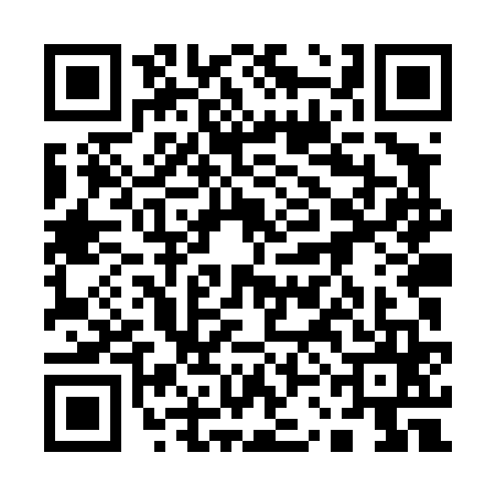 QR code for 13LT652