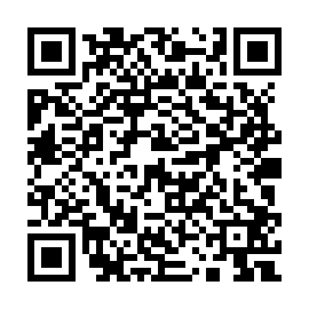 QR code for 13LZ029