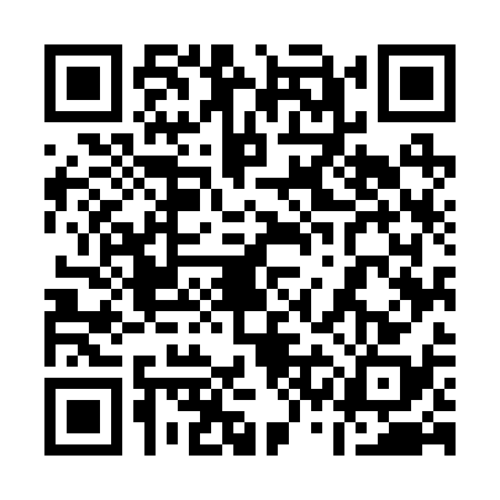QR code for 13M2384