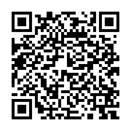 QR code for 13MG039