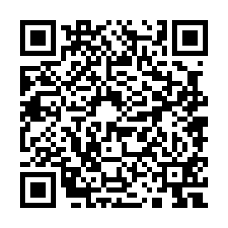 QR code for 13N011P