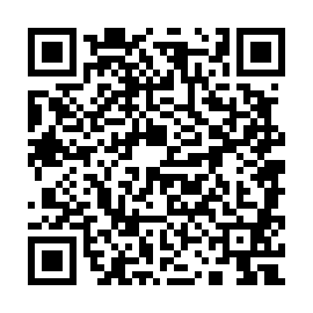 QR code for 13N4809