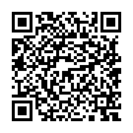 QR code for 13N864T