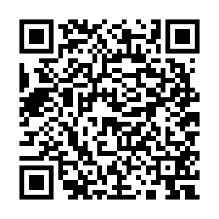 QR code for 13NF529