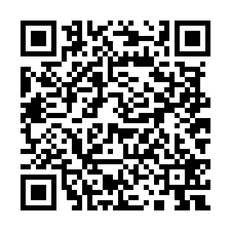 QR code for 13NM299