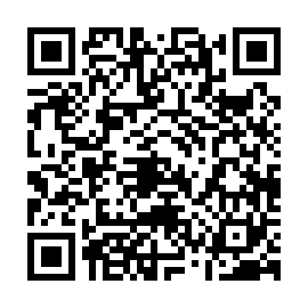 QR code for 13P161M