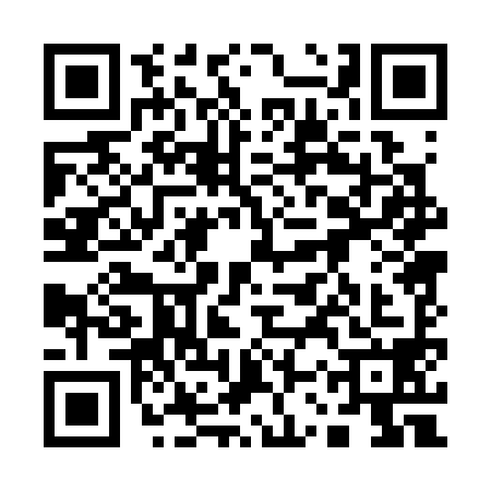 QR code for 13P3989