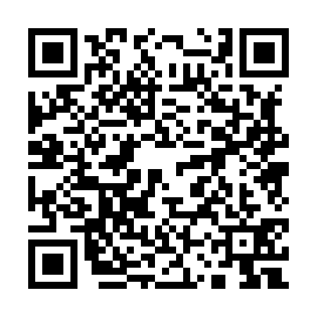 QR code for 13P8311