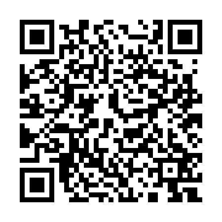 QR code for 13PC234