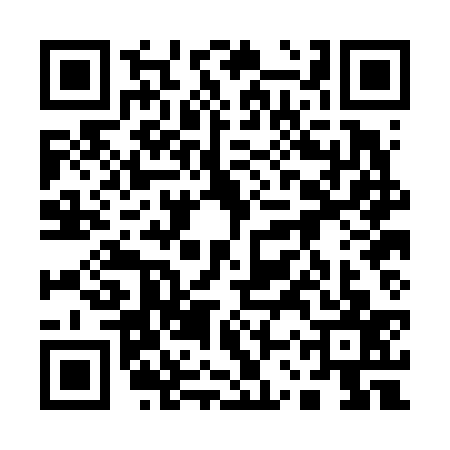 QR code for 13PF377