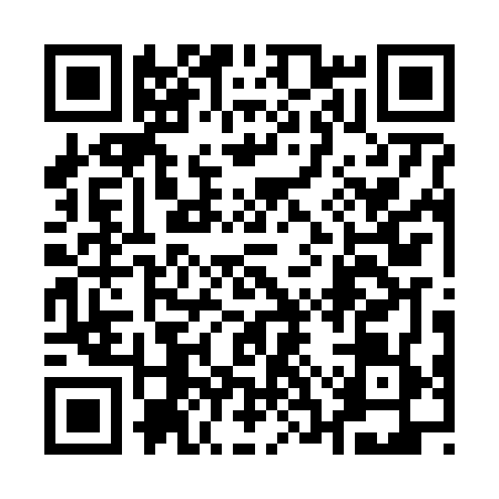 QR code for 13PF699