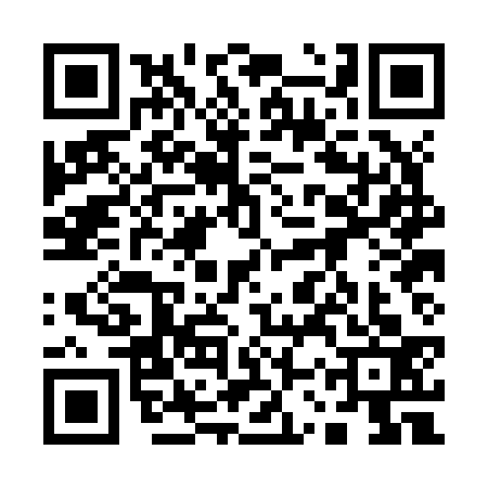 QR code for 13PJ336