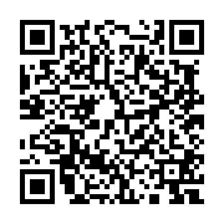 QR code for 13PL001