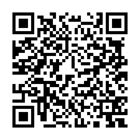 QR code for 13PL333