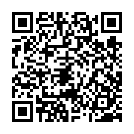 QR code for 13PVZ28