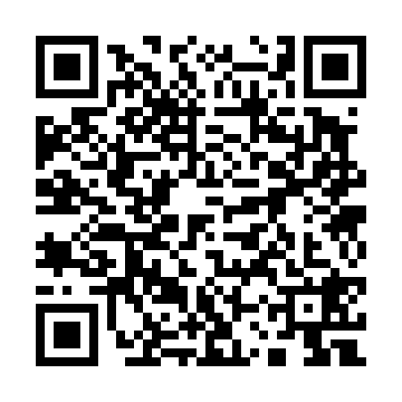 QR code for 13S4287