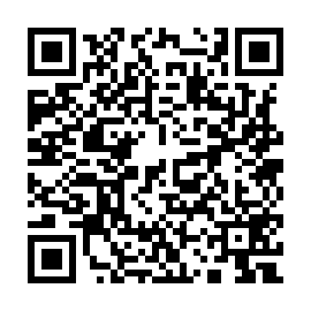QR code for 13S9595