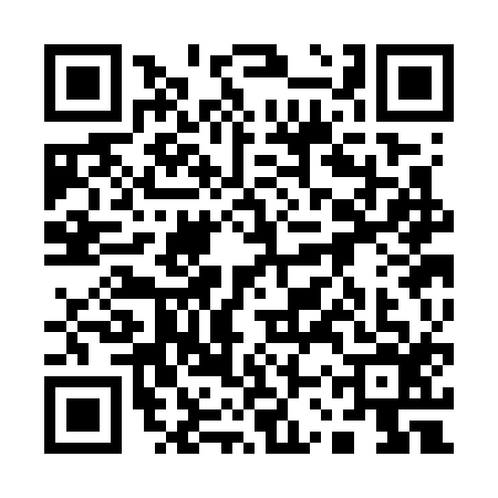QR code for 13SG161