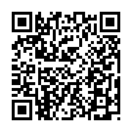 QR code for 13SMF95