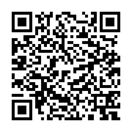 QR code for 13SMG08