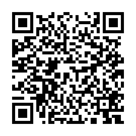 QR code for 13SMP96