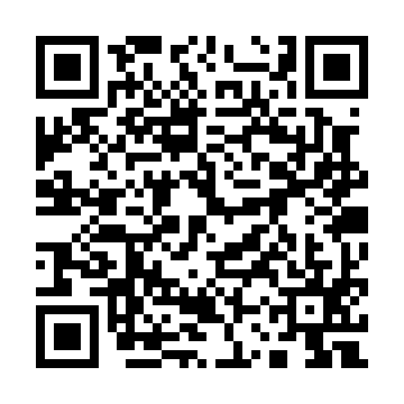 QR code for 13SP955
