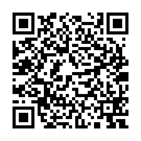 QR code for 13SR994