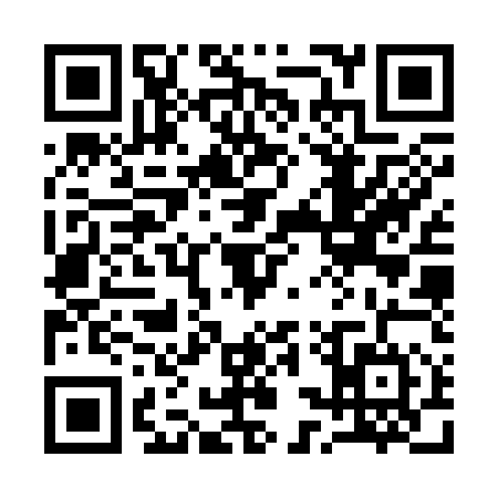 QR code for 13SS543