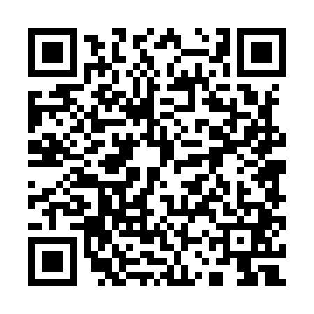 QR code for 13T9413