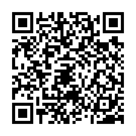 QR code for 13TF717