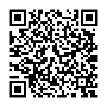 QR code for 13TT123