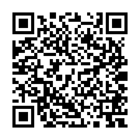 QR code for 13TZ487