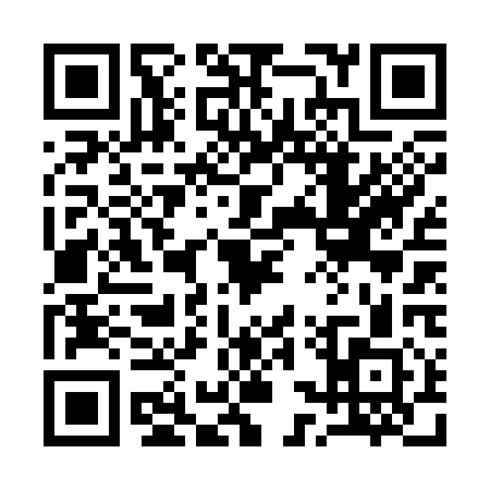 QR code for 13V311V